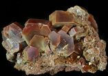 Large, Ruby Red Vanadinite Crystals - Morocco #42205-2